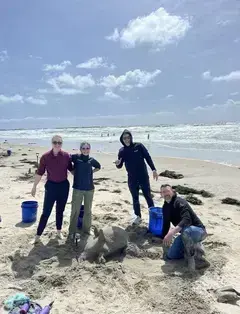San Diego Sand Castles