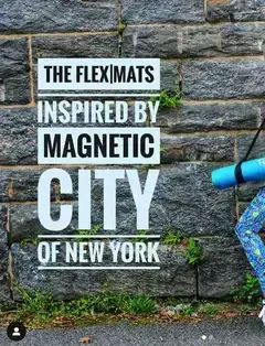 Flex -N-Fly