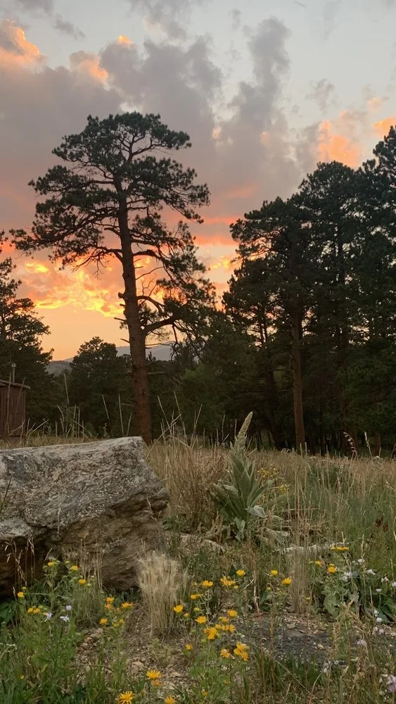 Estes Park Center YMCA image