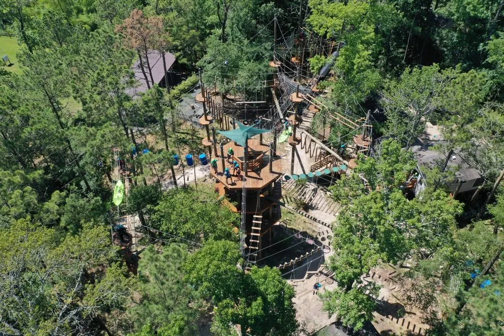 Texas TreeVentures image