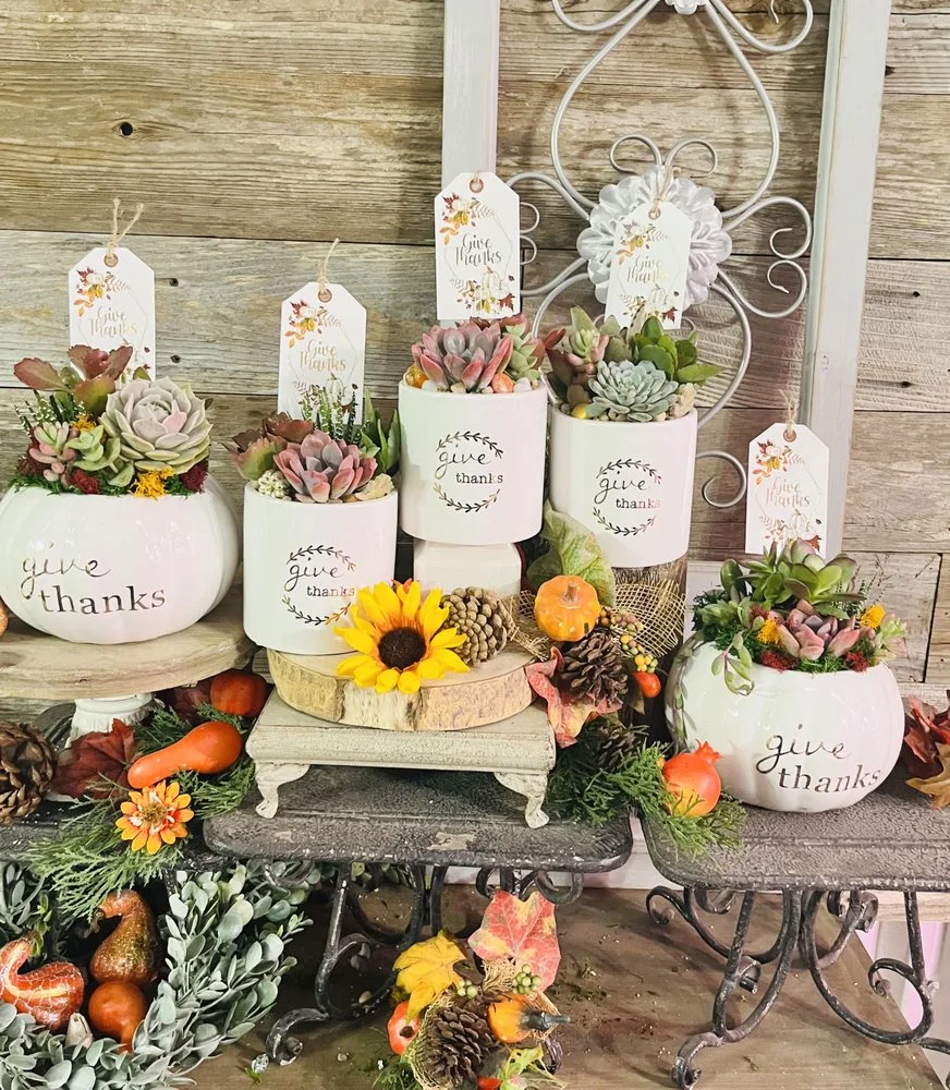 Rooted Treasures Succulents image
