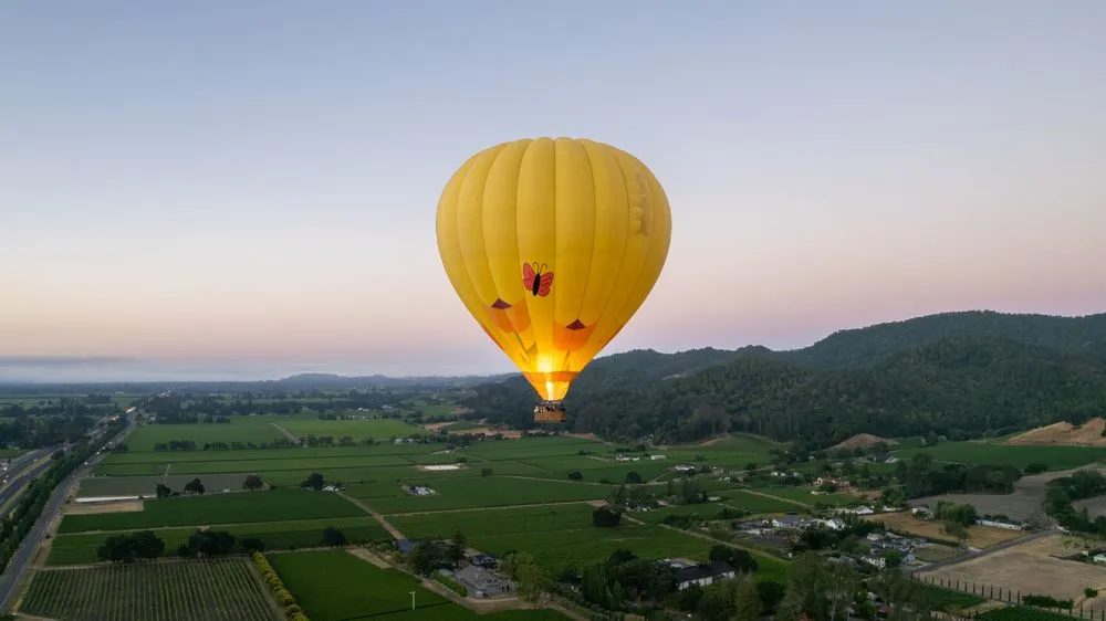 Napa Valley Balloons image