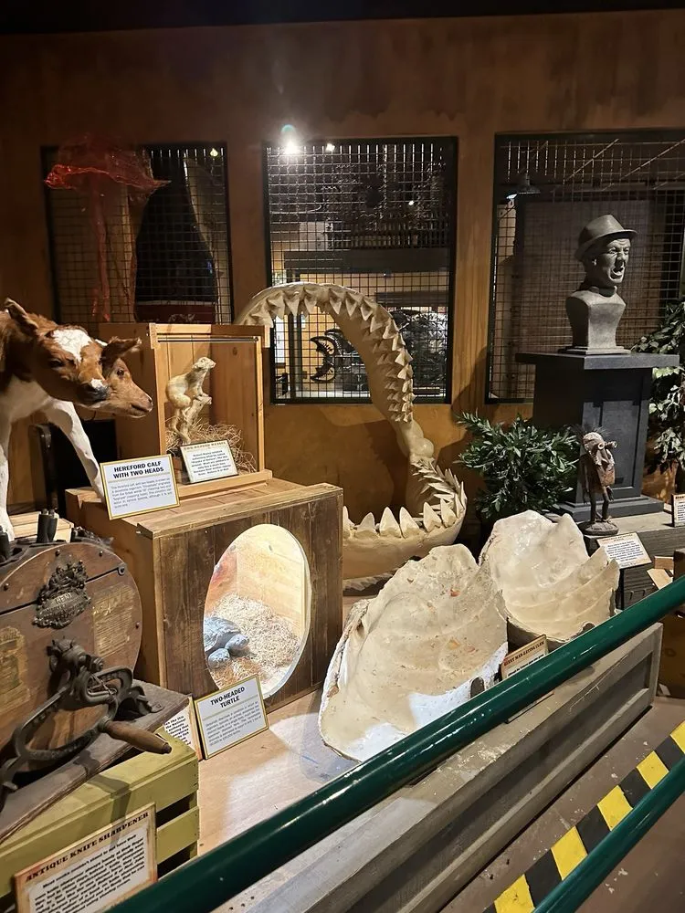 Ripley's Believe It or Not! image