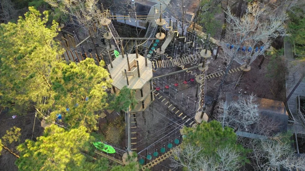 Texas TreeVentures image