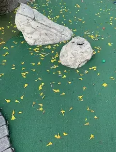 AllGolf at CB Smith