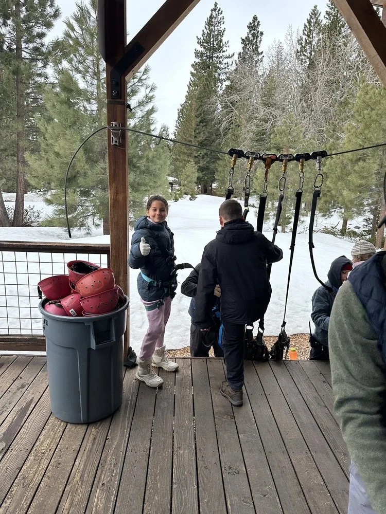 Tahoe Vista Treetop Adventure Park image
