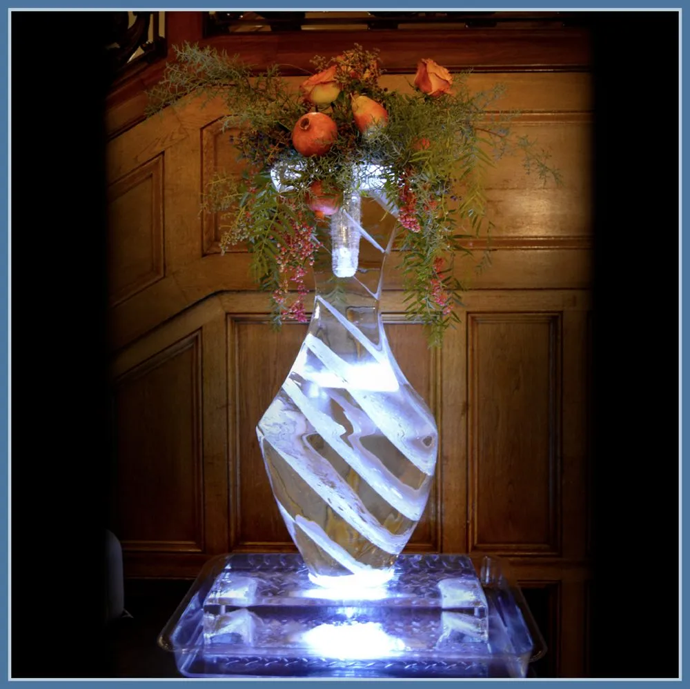 ICEovation image