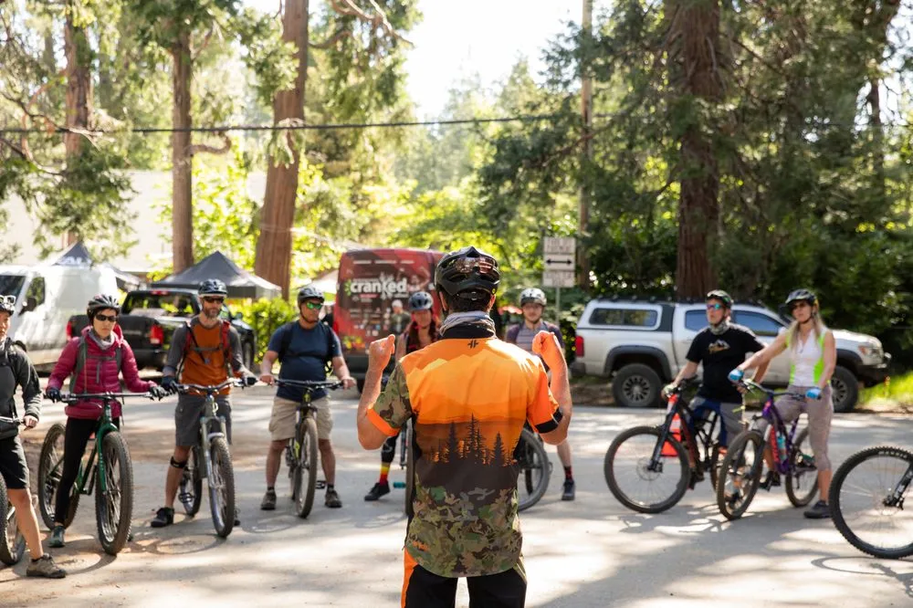 A Singletrack Mind image