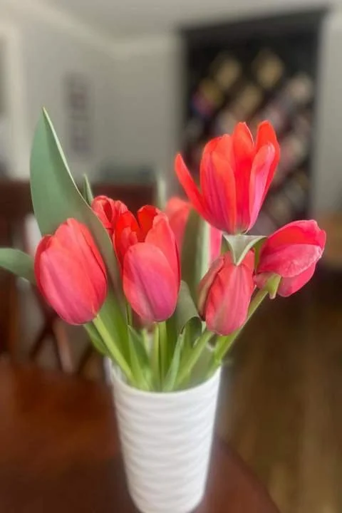 Darliene's Backporch image