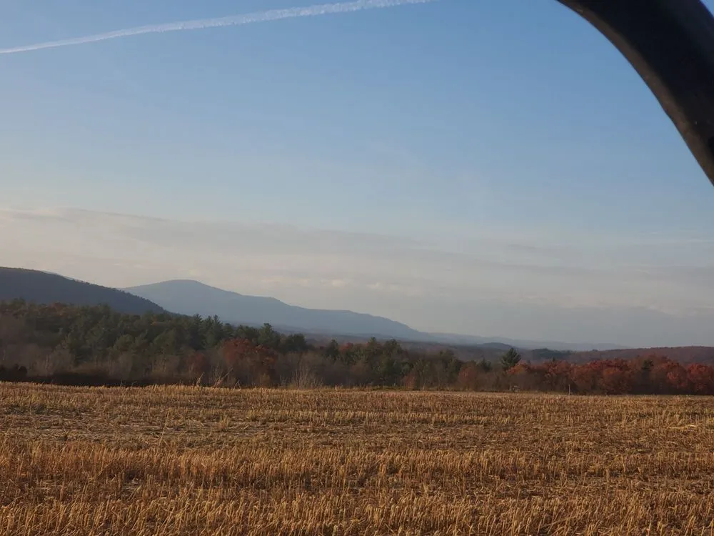 Backyard Adventure UTV Tour image
