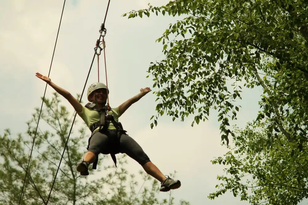 Beanstalk Zip Lines image
