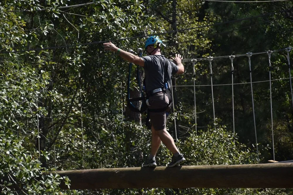 Texas TreeVentures image