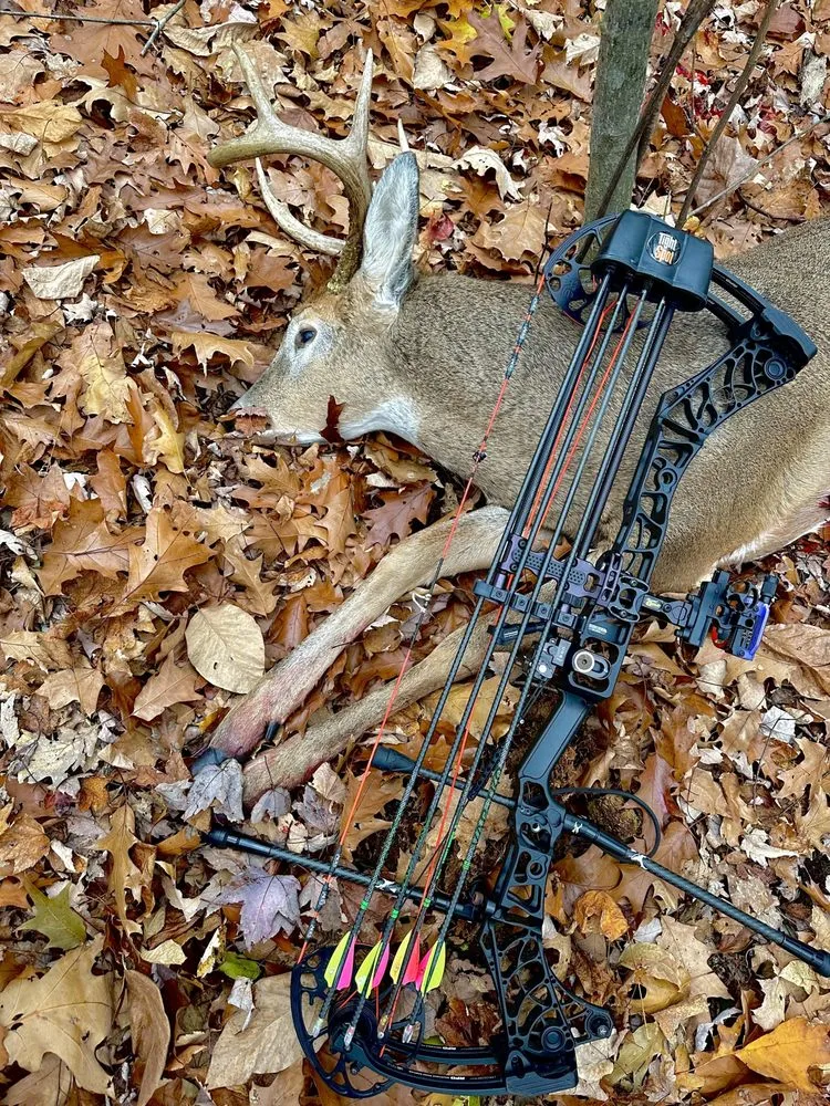 Chicago Archery image