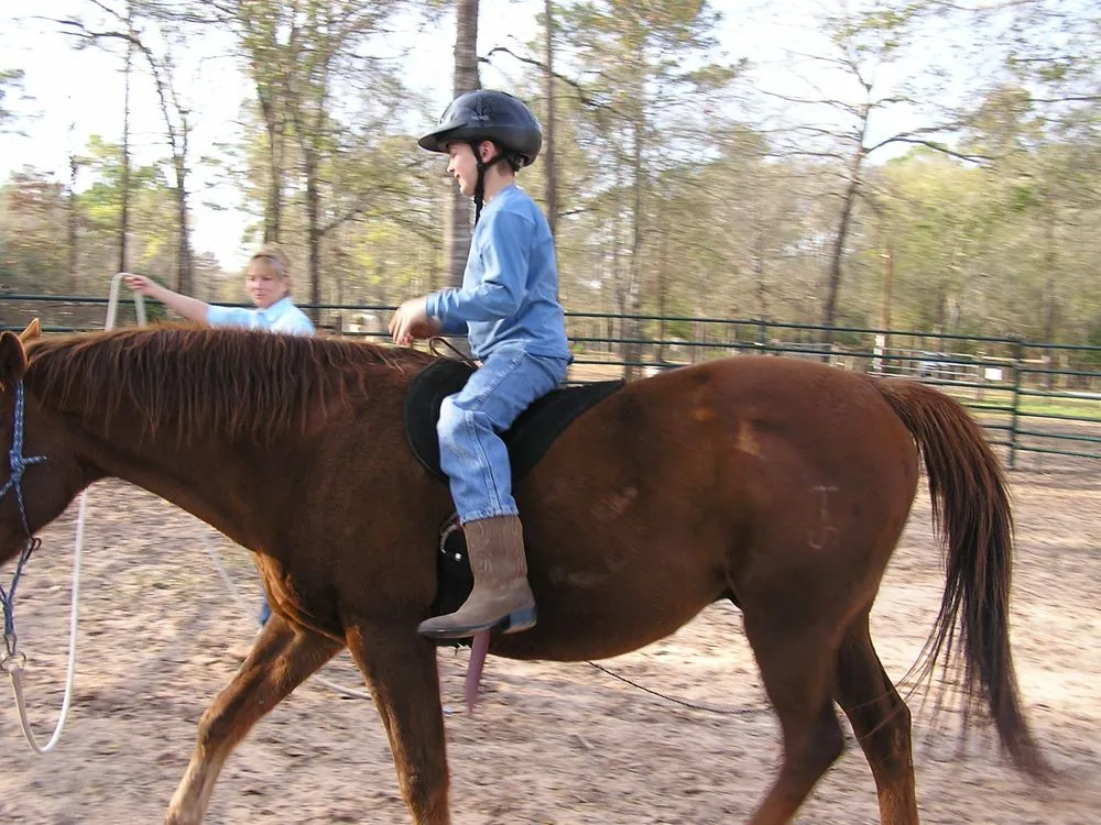 Sugarfoot Jog Ranch image