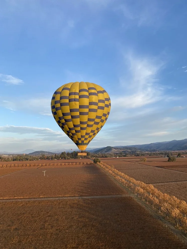 Napa Valley Balloons image