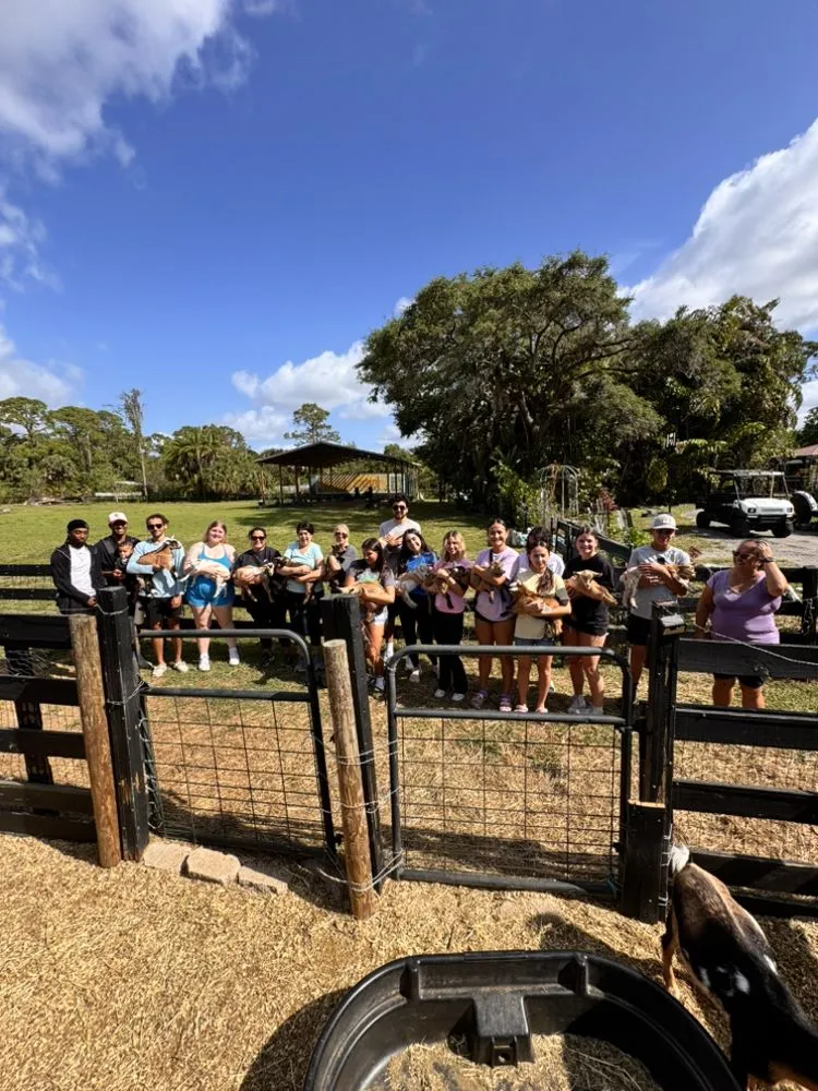 24 Karat Ranch image