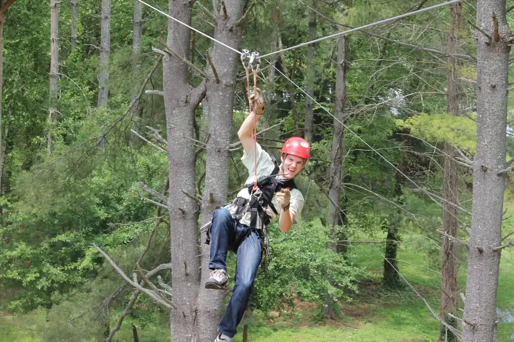 Beanstalk Zip Lines image