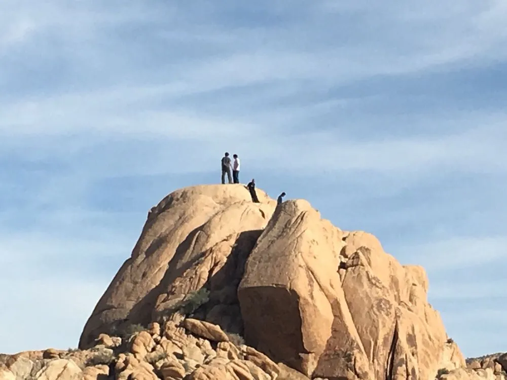 Joshua Tree's Uprising Adventure Guides, Inc image
