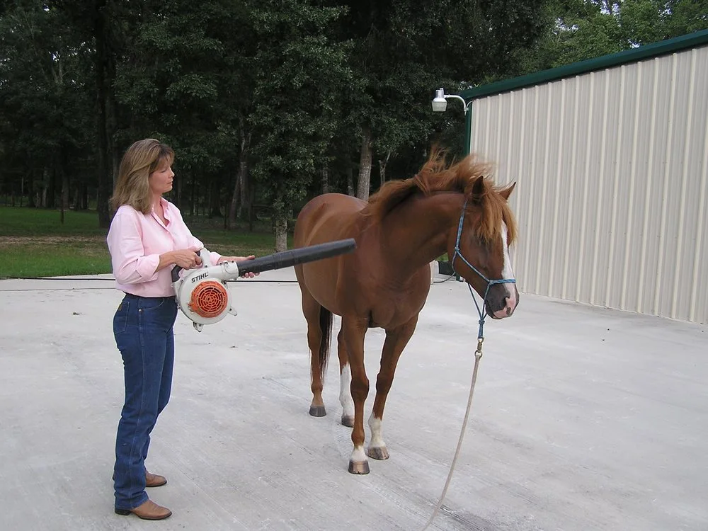 Sugarfoot Jog Ranch image