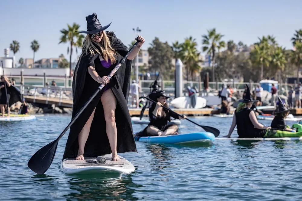 Harbor Vibes image