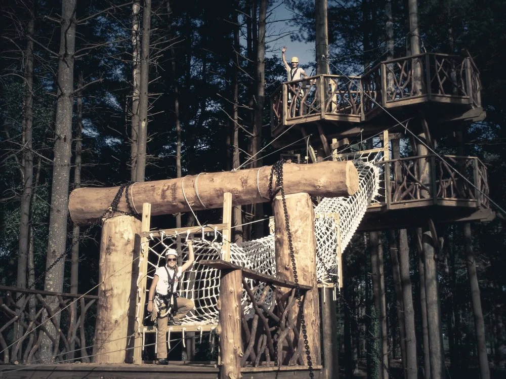 Beanstalk Zip Lines image