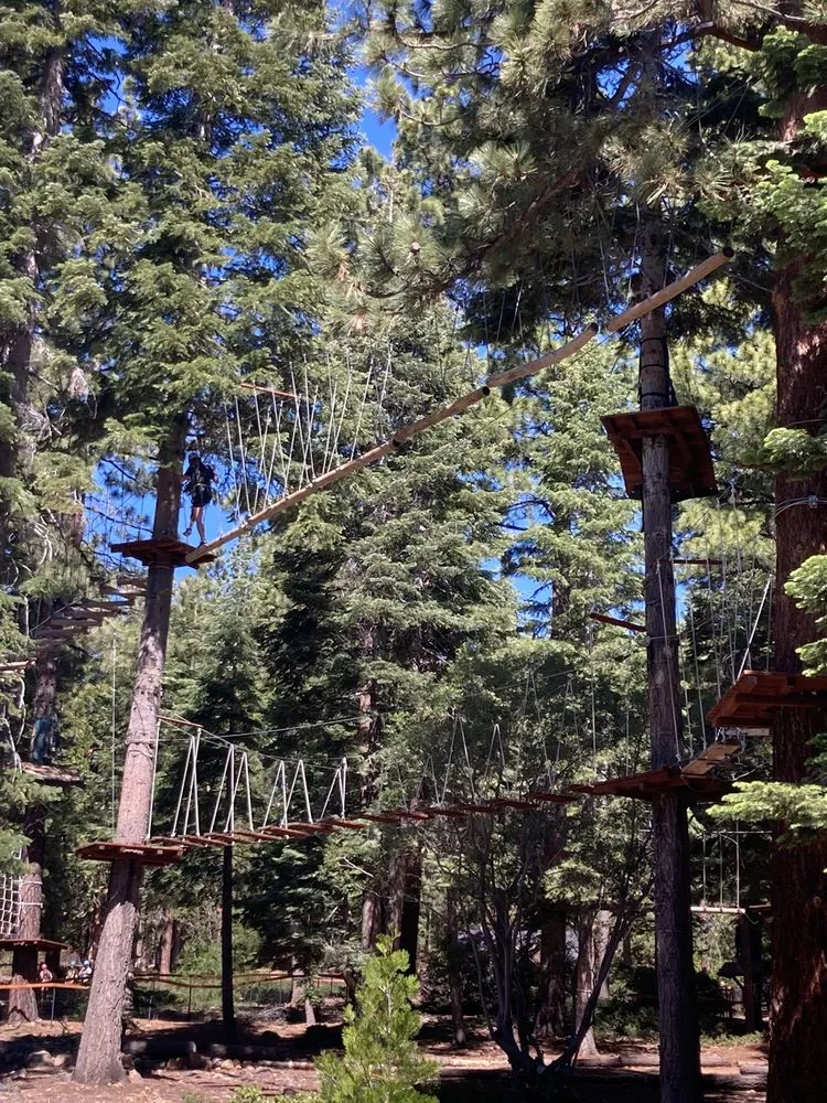 Tahoe Vista Treetop Adventure Park image