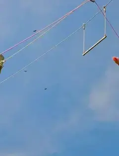 Georgetown Challenge Course