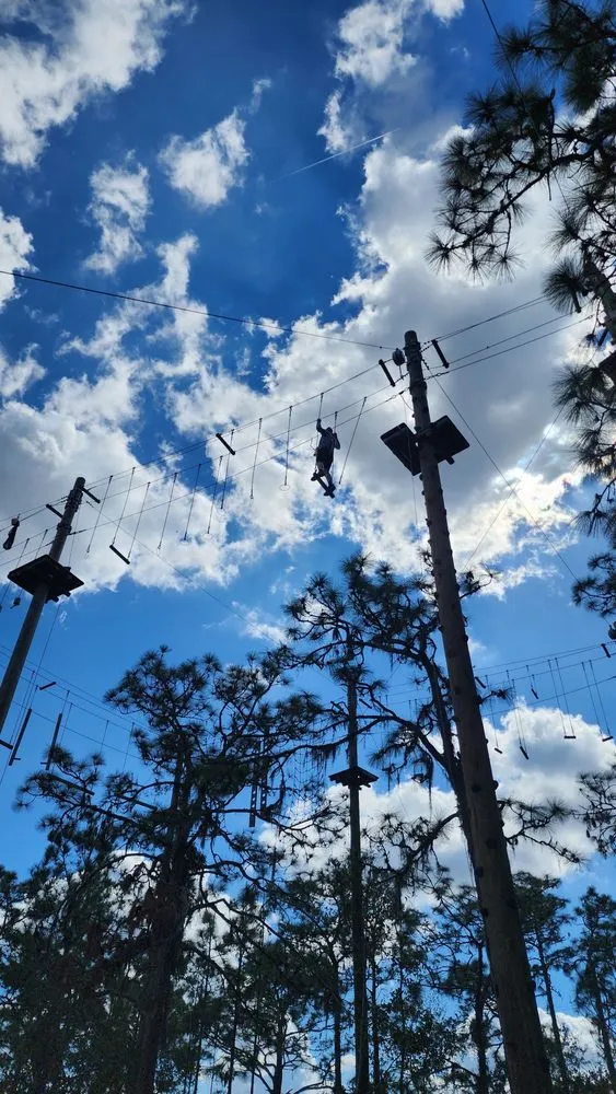 TreeUmph! Adventure Course image