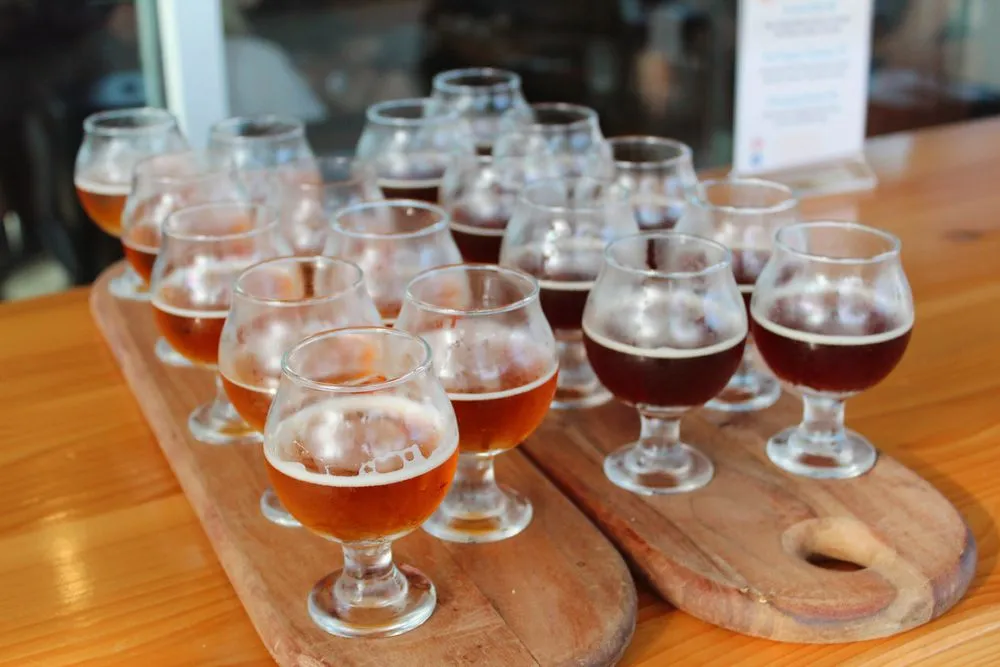 St. Augustine Brewery Tours logo