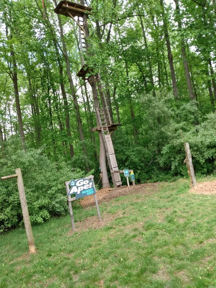 Go Ape Zipline & Adventure Park logo