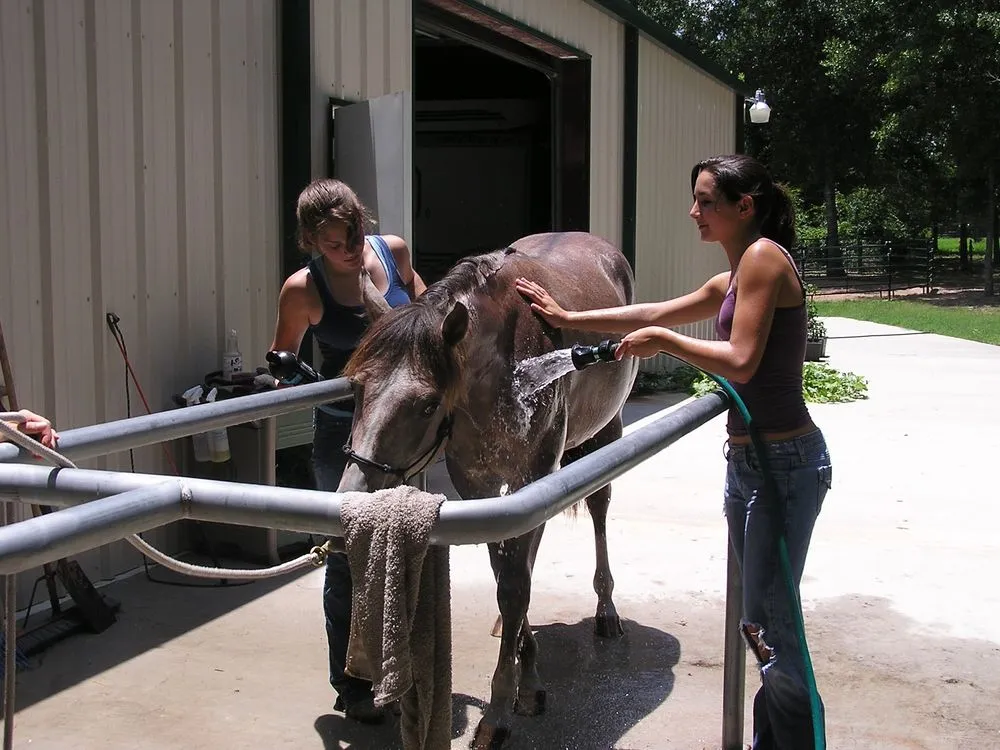 Sugarfoot Jog Ranch image