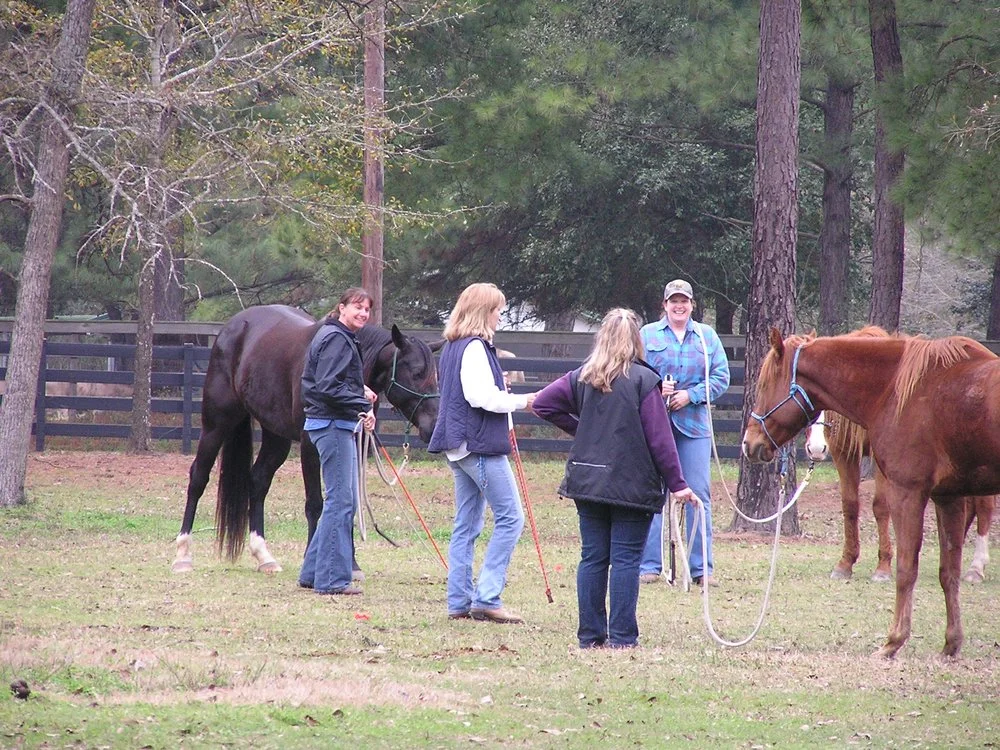 Sugarfoot Jog Ranch image