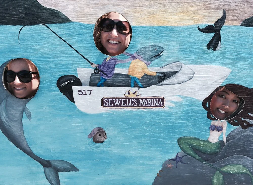 Sewell's Marina image