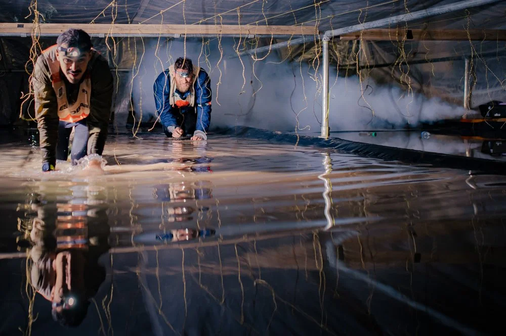 World's Toughest Mudder image
