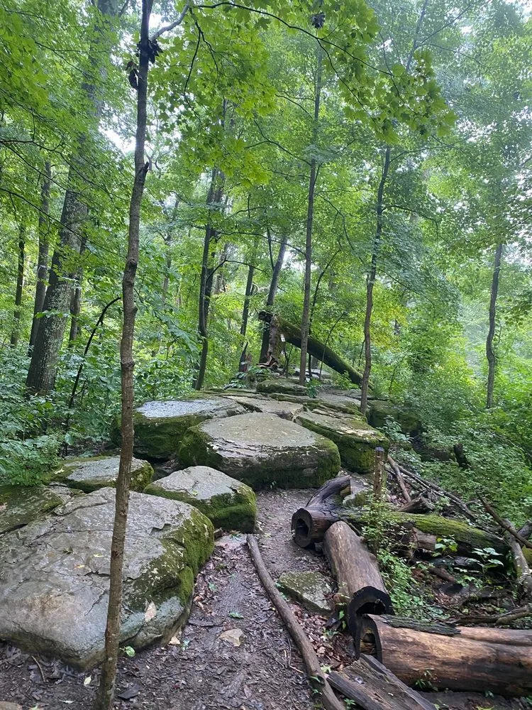 Adventureworks Zipline Forest at Fontanel image