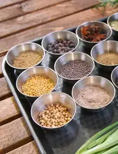 Rooted Nutrition