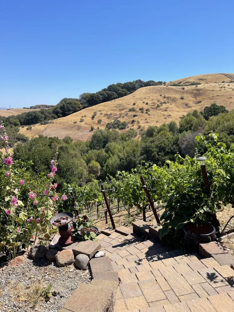 Captain Vineyards image