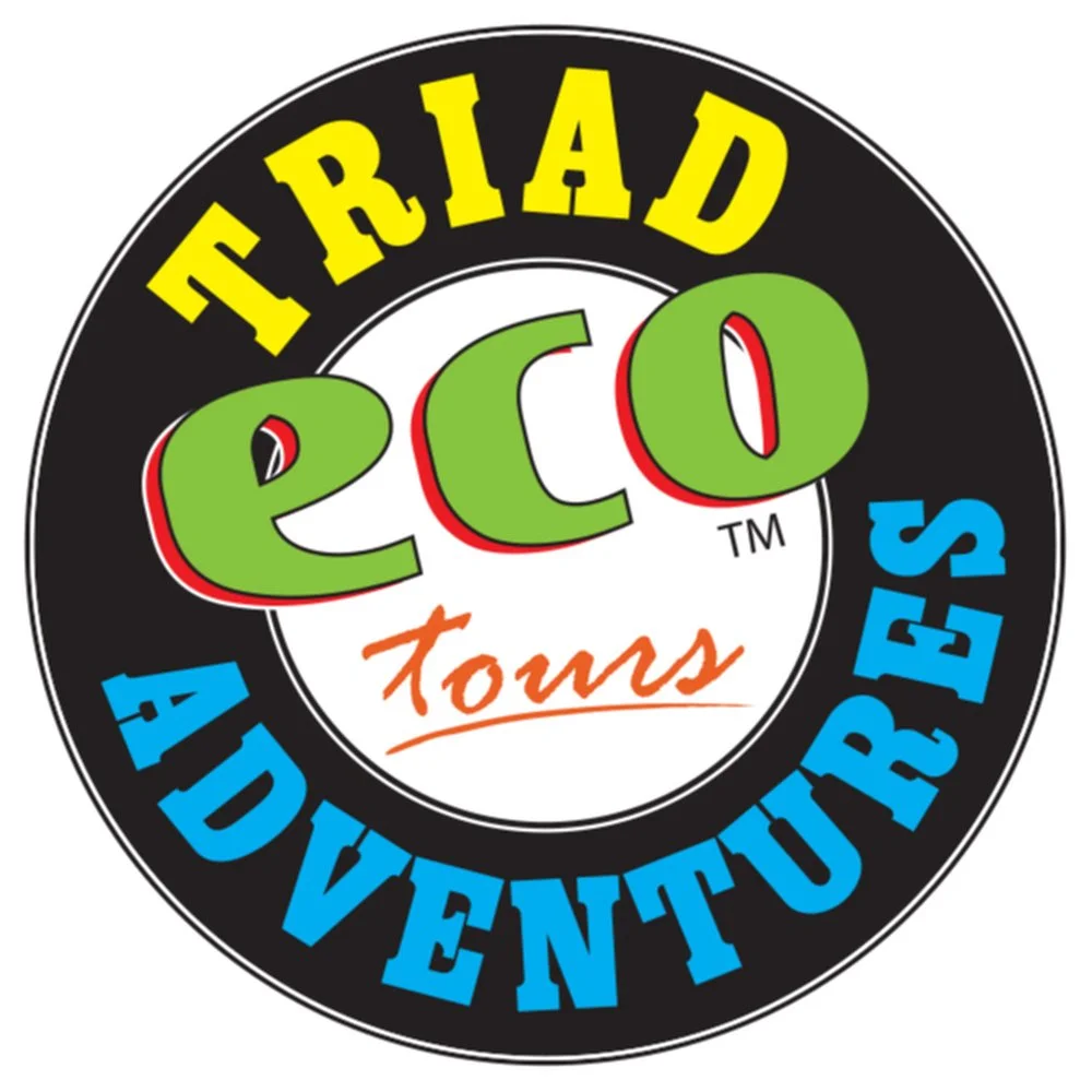 Triad ECO Adventures logo