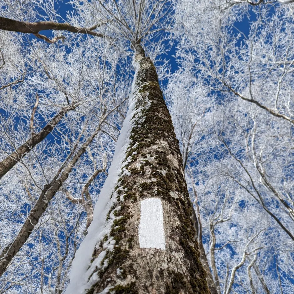 Expedition Recovery image
