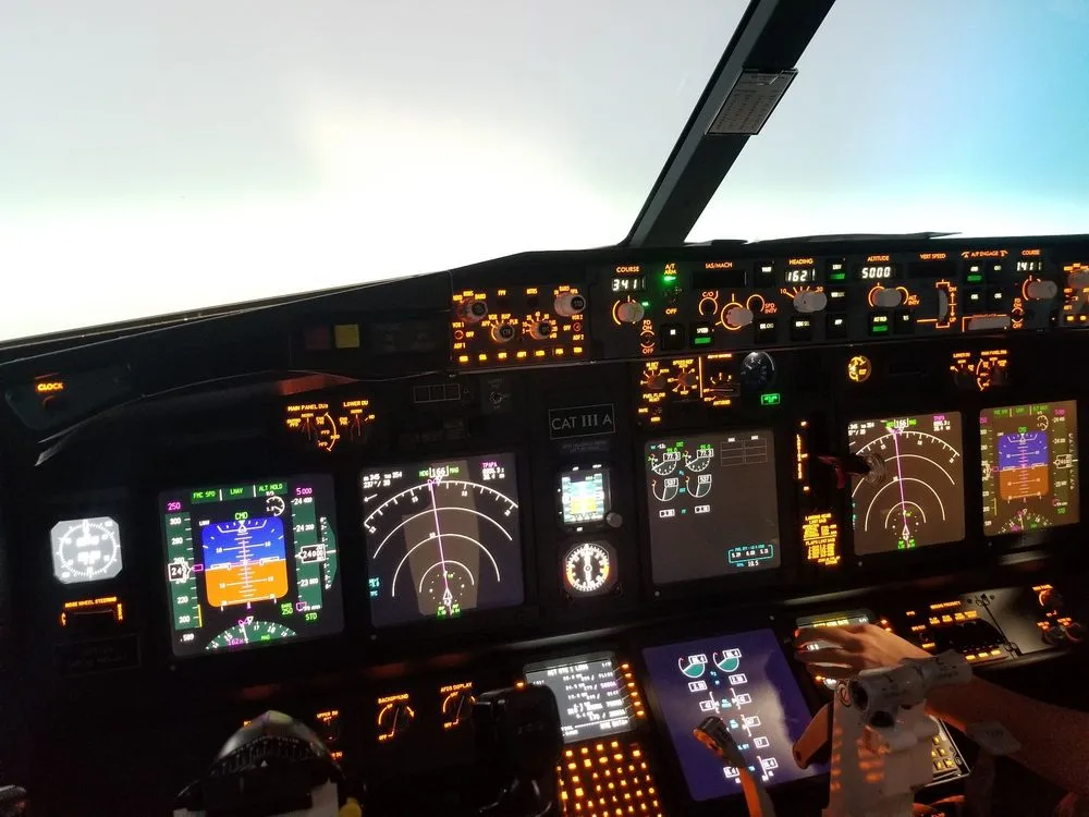 Extreme Flight Simulation image