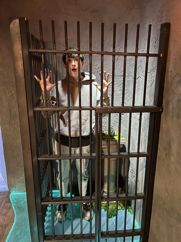 Sure Lock Escapes image