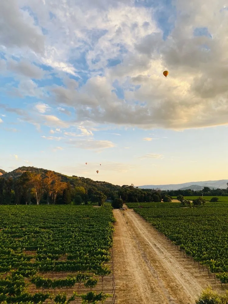 Napa Valley Balloons image
