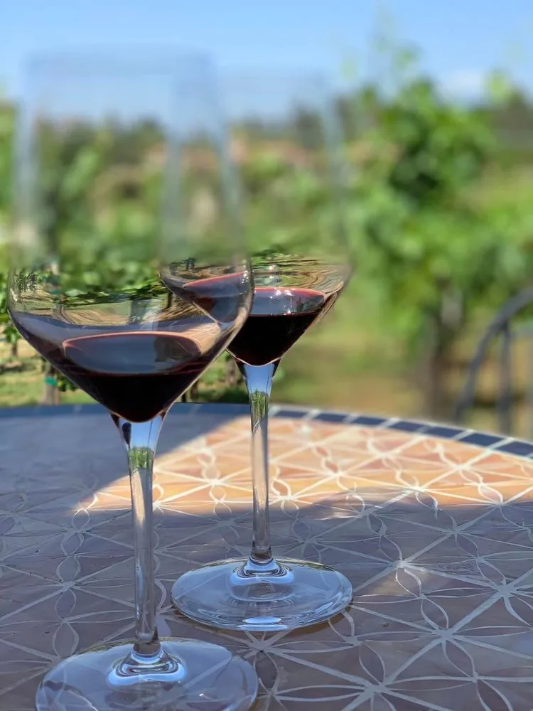 Tour del Vino image