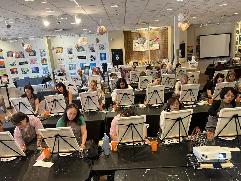 Starry Nite Studios image