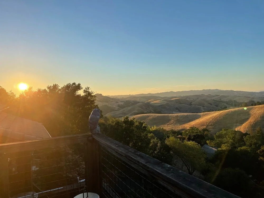 Captain Vineyards image