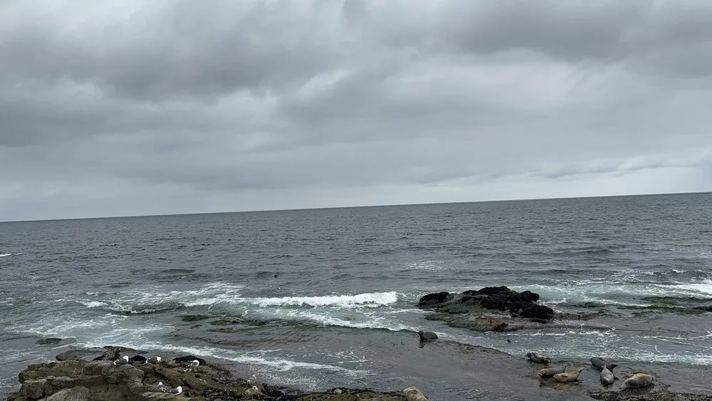 Another Side Of San Diego Tours image