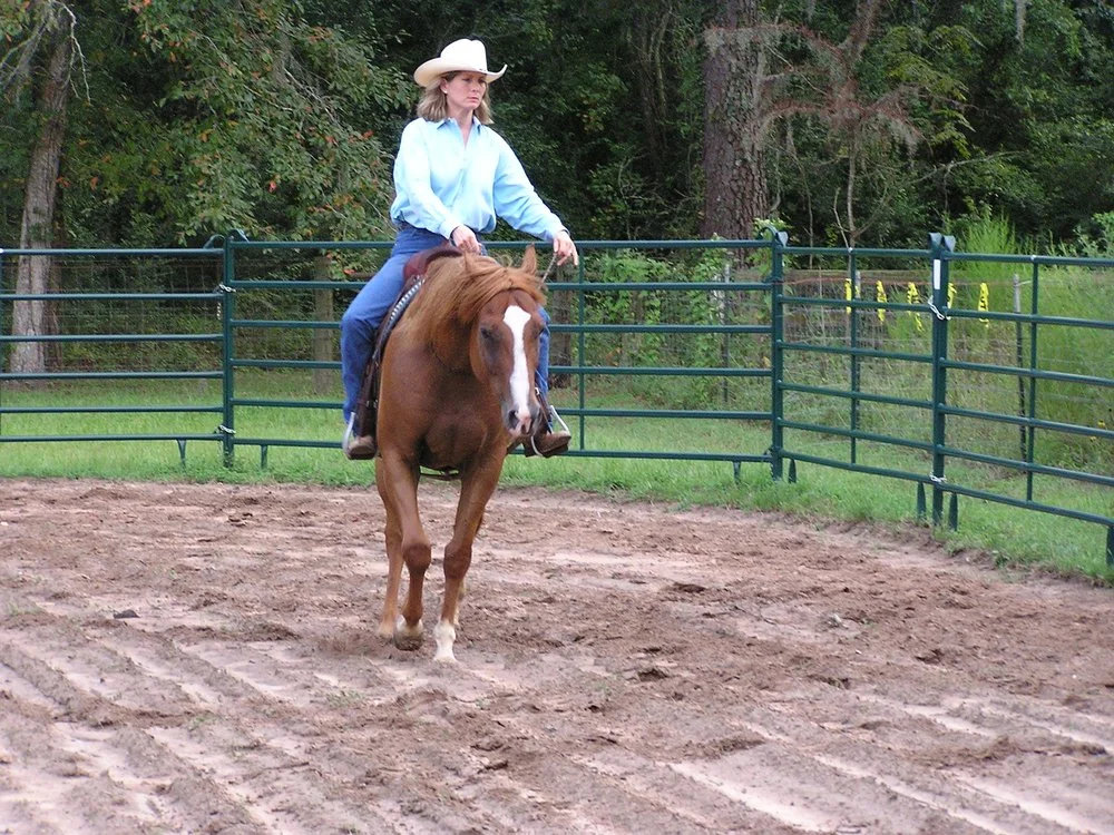 Sugarfoot Jog Ranch image