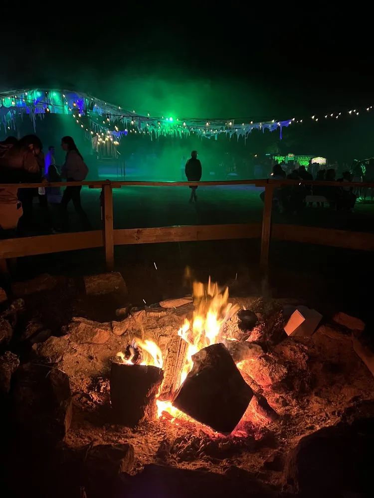 Haunted Forest at Panic Point image