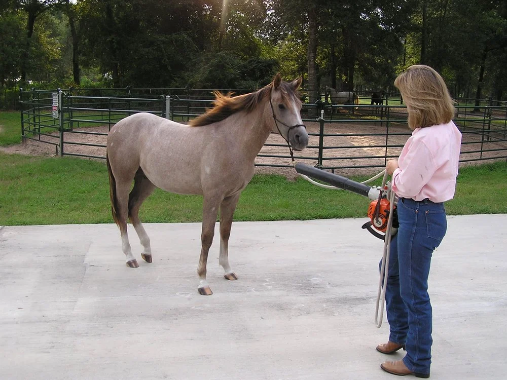 Sugarfoot Jog Ranch image
