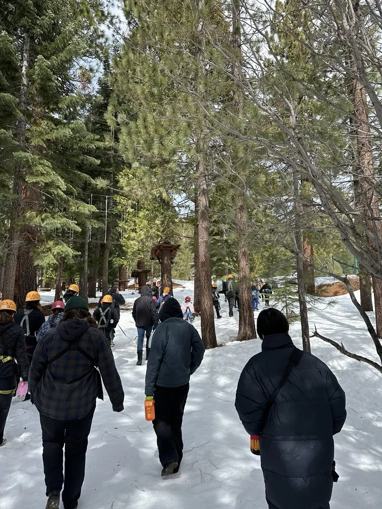 Tahoe Vista Treetop Adventure Park logo